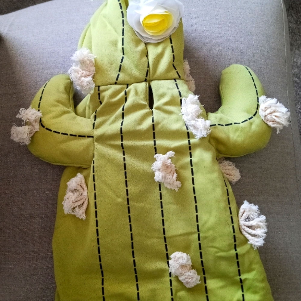 Play on small Dog Cactus costume